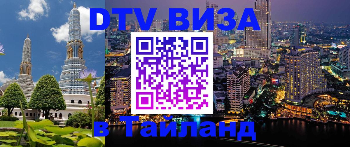 Сколько стоит DTV виза — актуальные цены, оформление даже без документов - 21.11.2025 